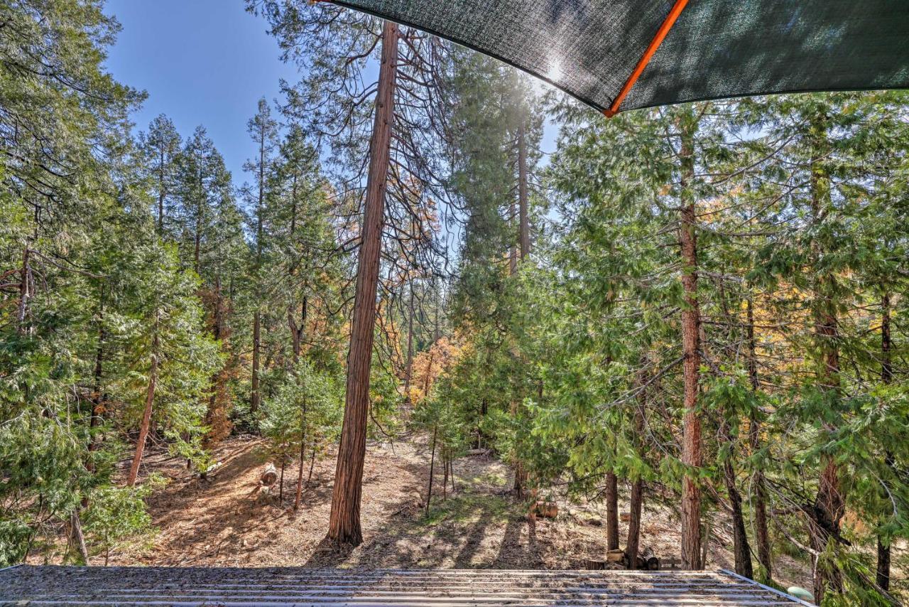 Quiet Twain Harte Cabin With Deck And Forest Views! Exterior photo