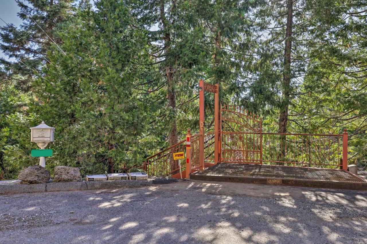 Quiet Twain Harte Cabin With Deck And Forest Views! Exterior photo